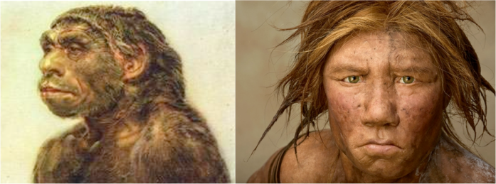 Deux visions de l'Homme de Néandertal